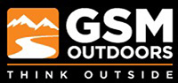 GSM