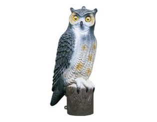 Flambeau - Decoy Owl 21