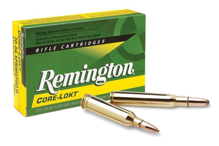 Skulptur laser grammatik Remington - Core-Lokt PSP 270 Win 130gr 20rds