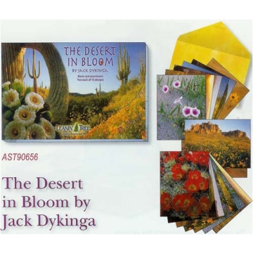 THE DESERT BROOK BLANK  CARDS 20 PK
