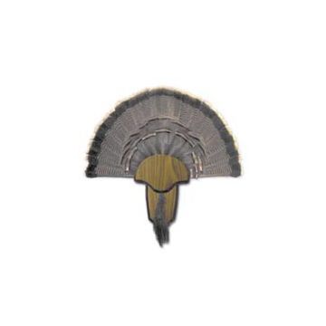 Hunter Specialties - Mount Kit Turkey Tail & Beard