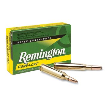 Remington - Core-Lokt PSP 300 Win Mag 180gr 20rds
