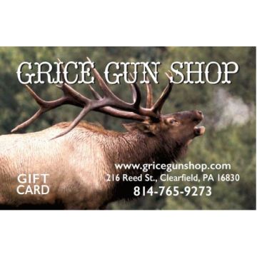 Gift Certificate  $100