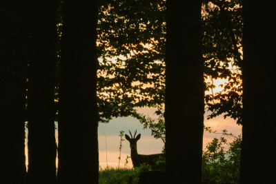 You Just Got 10 More Days to Hunt in Pennsylvania!