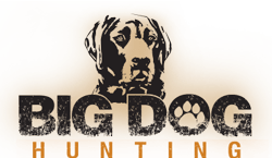 Big Dog Hunting